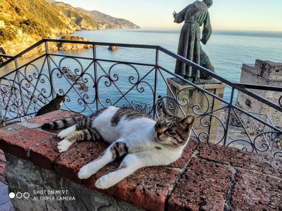 La Rosa Dei Venti Hotel Monterosso al Mare Bagian luar foto